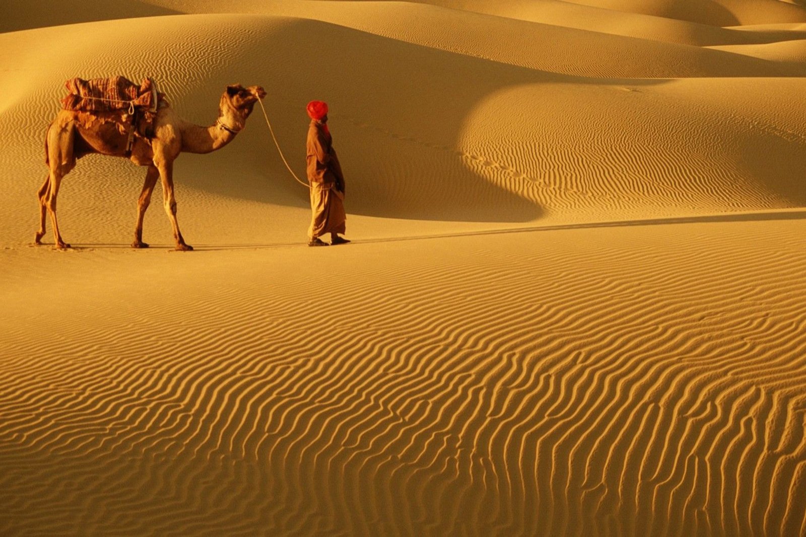 Delhi, Rajasthan, Himachal & Punjab Tour 