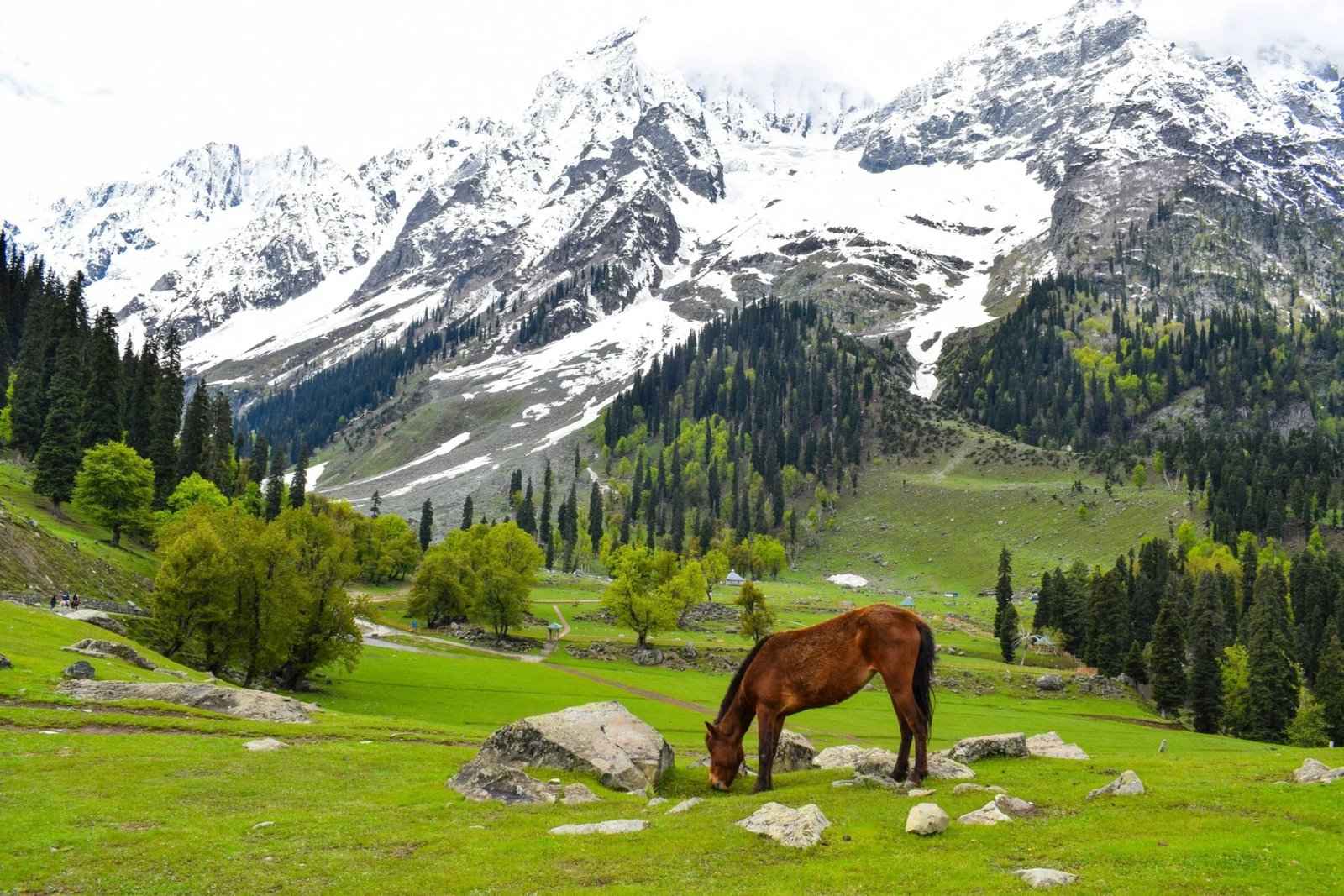 Bliss Ful Kashmir Tour