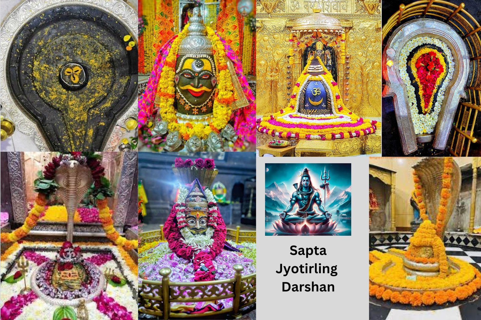 Sapta Jyotirlinga Darshan Yatra