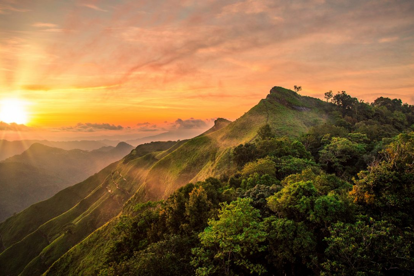 Mizoram Nagaland  Tour