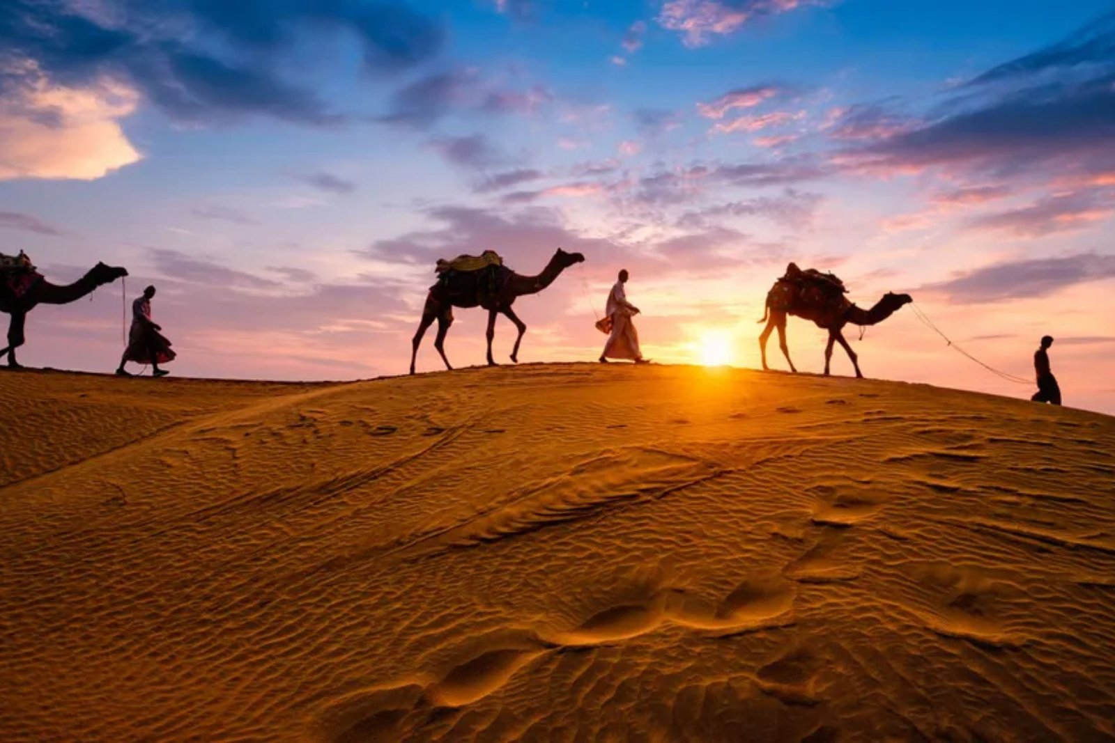 Agra & Rajasthan Tour 