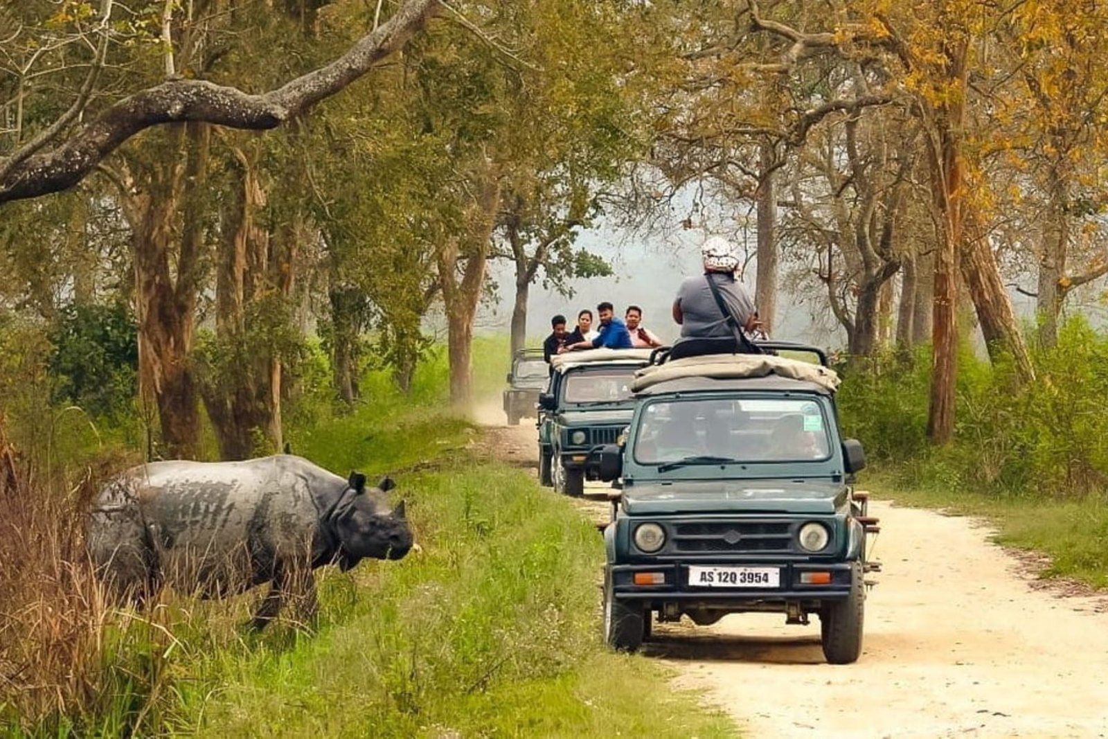 Assam & Meghalaya Tour Package