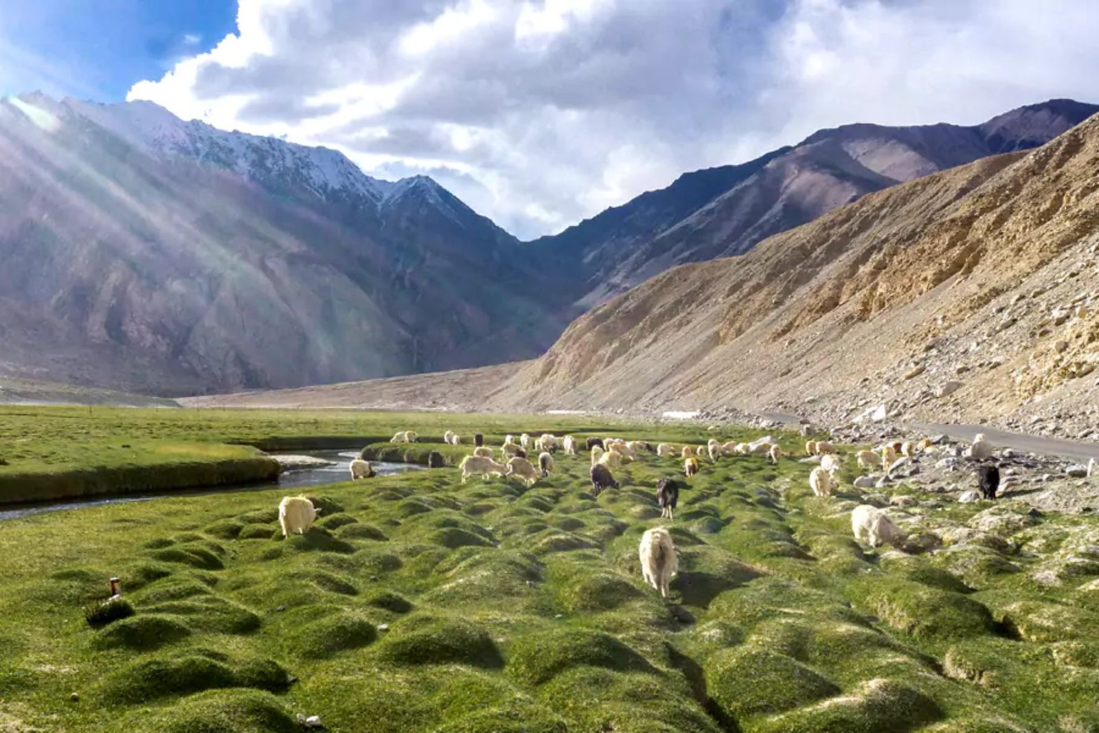 Ex SRINAGAR - Ladakh- Manali & CHANDIGARH Tour Package