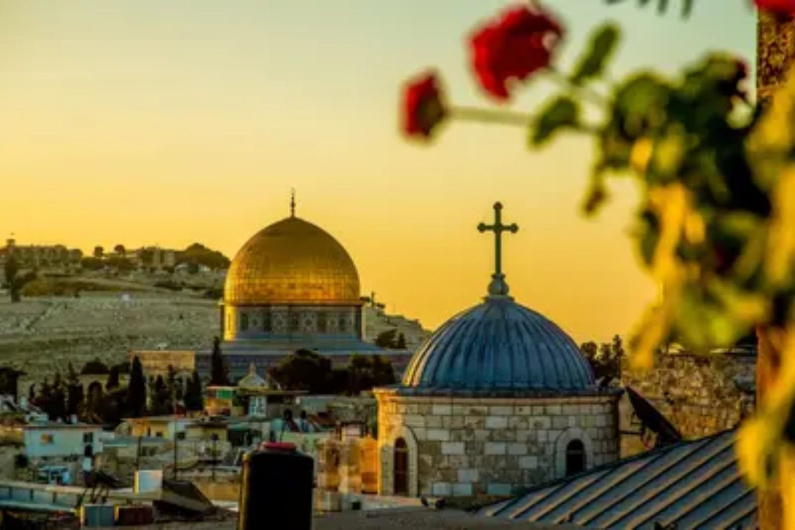 Holy Land Tour 