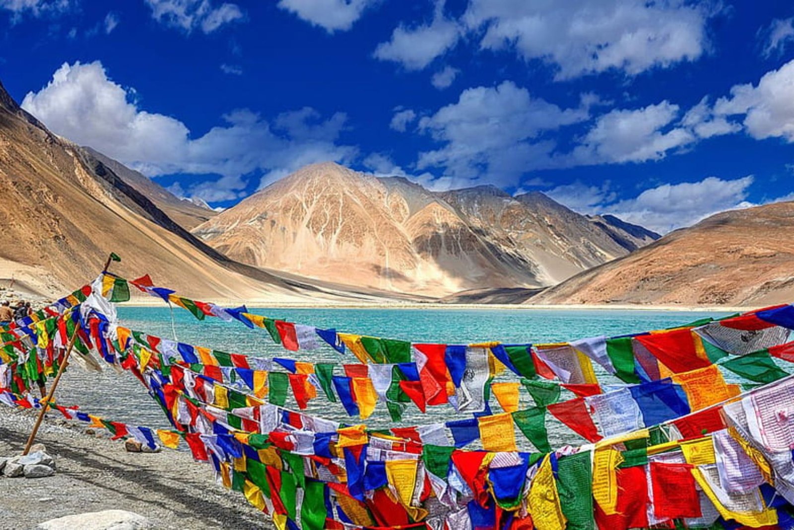 Winter in Ladakh with Wildlife and Culture 