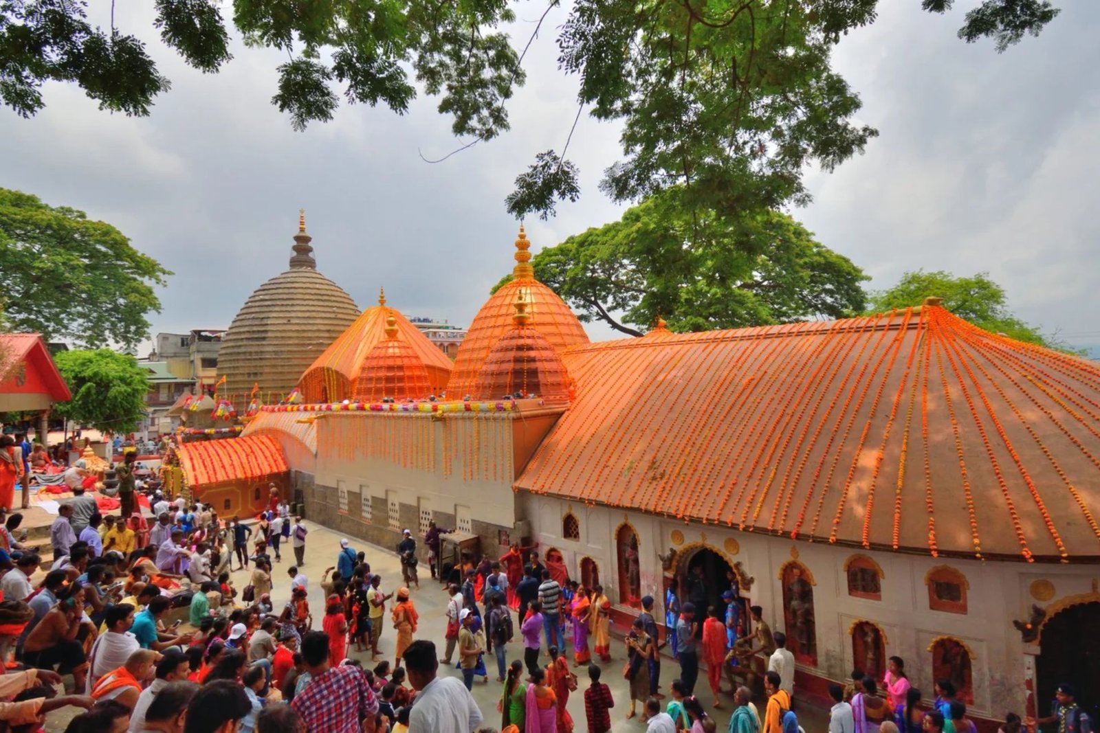 Assam & Meghalaya Tour 