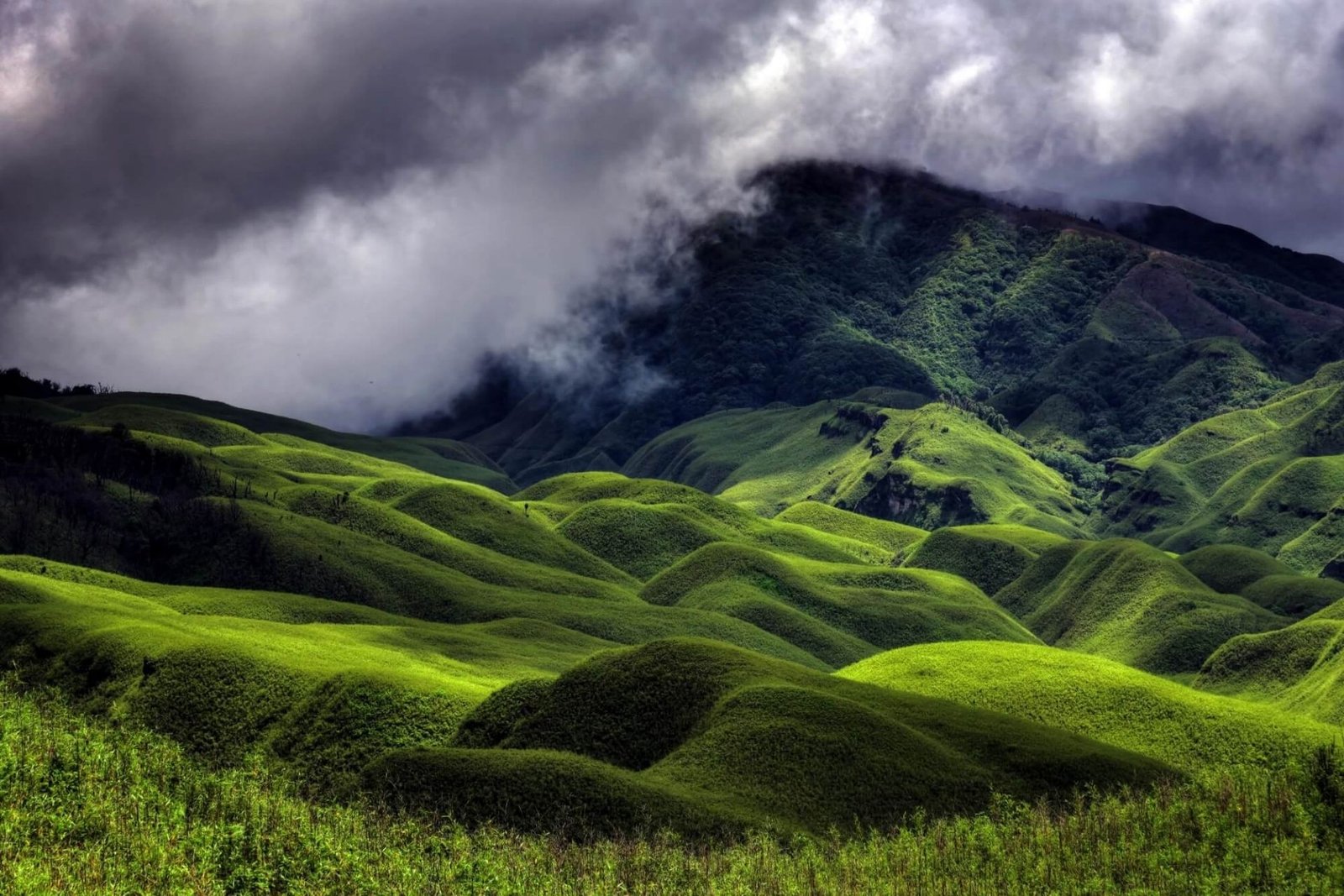 Darjeeling 